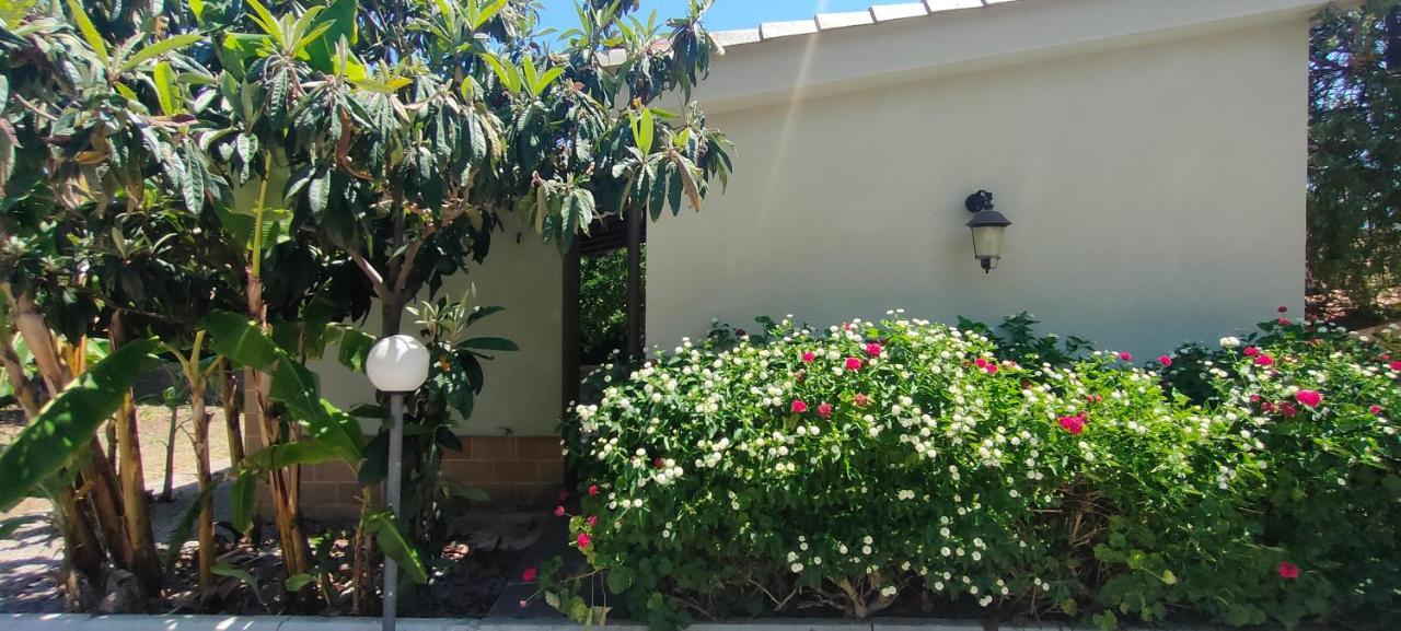 Sicily By Dreams Villa Campofelice Di Roccella Ngoại thất bức ảnh